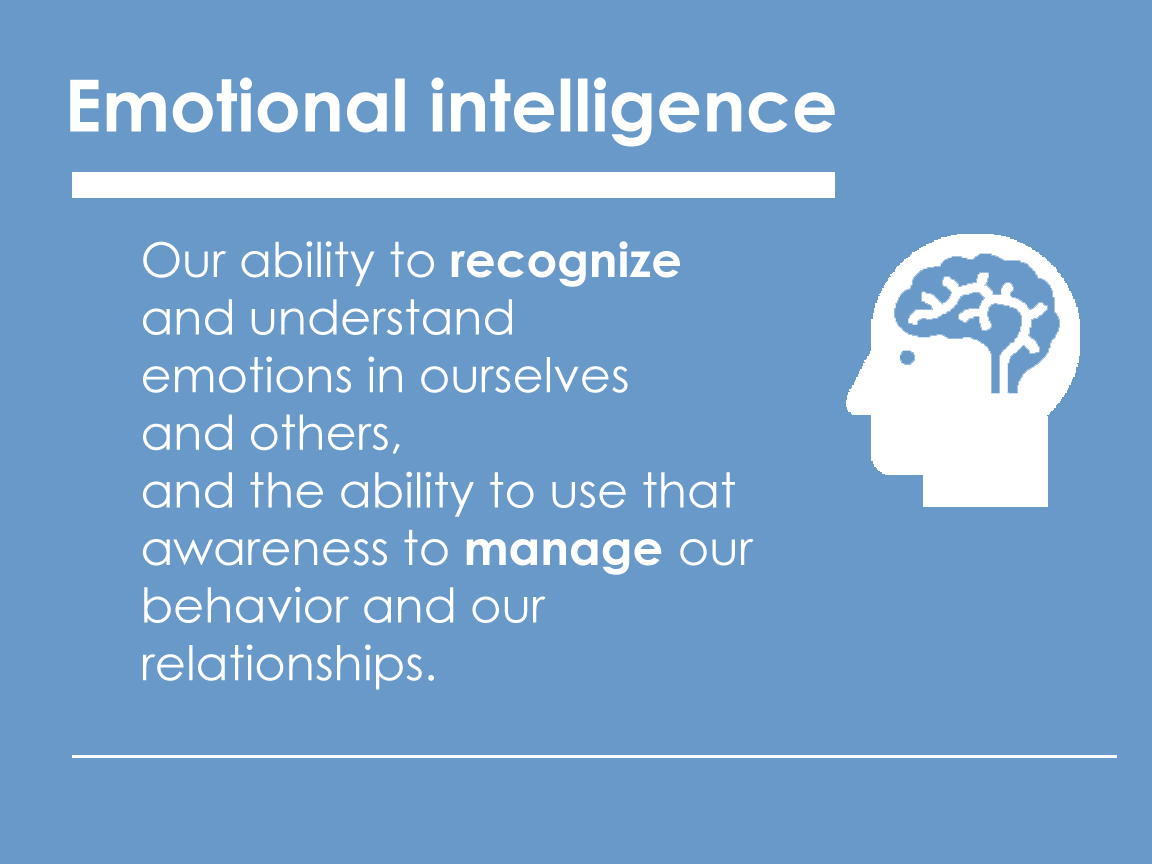 Emotion Management in the Workplace (Management, Work and Organisations)